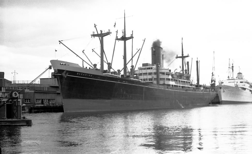 ss baradine